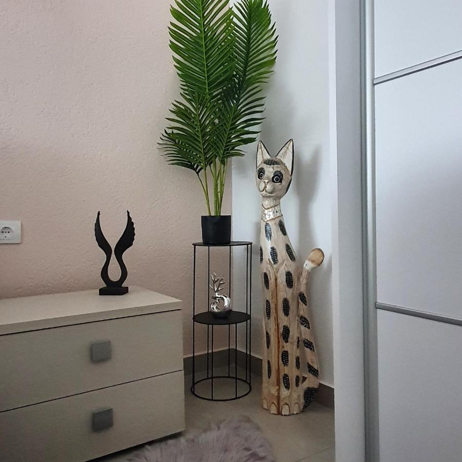 Afrodita Apartment Vrdnik Ngoại thất bức ảnh