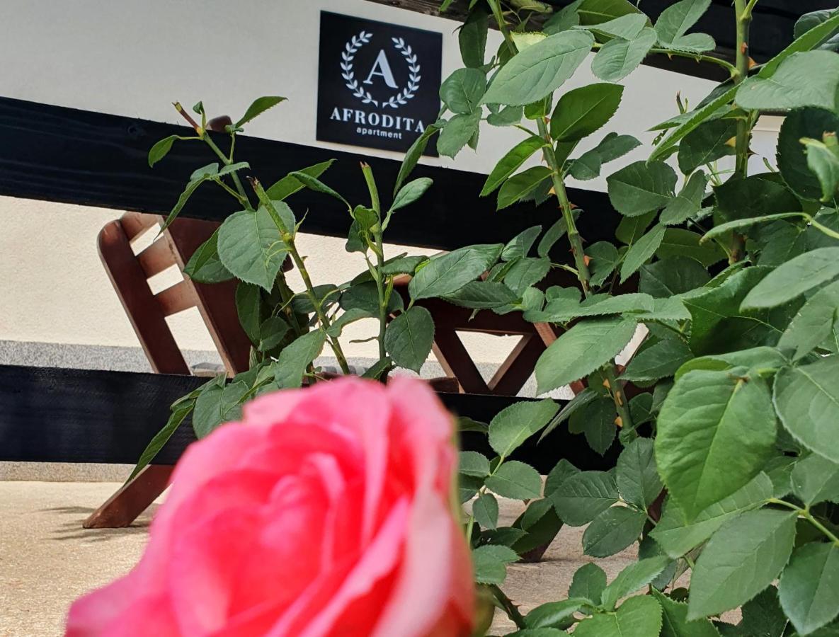 Afrodita Apartment Vrdnik Ngoại thất bức ảnh