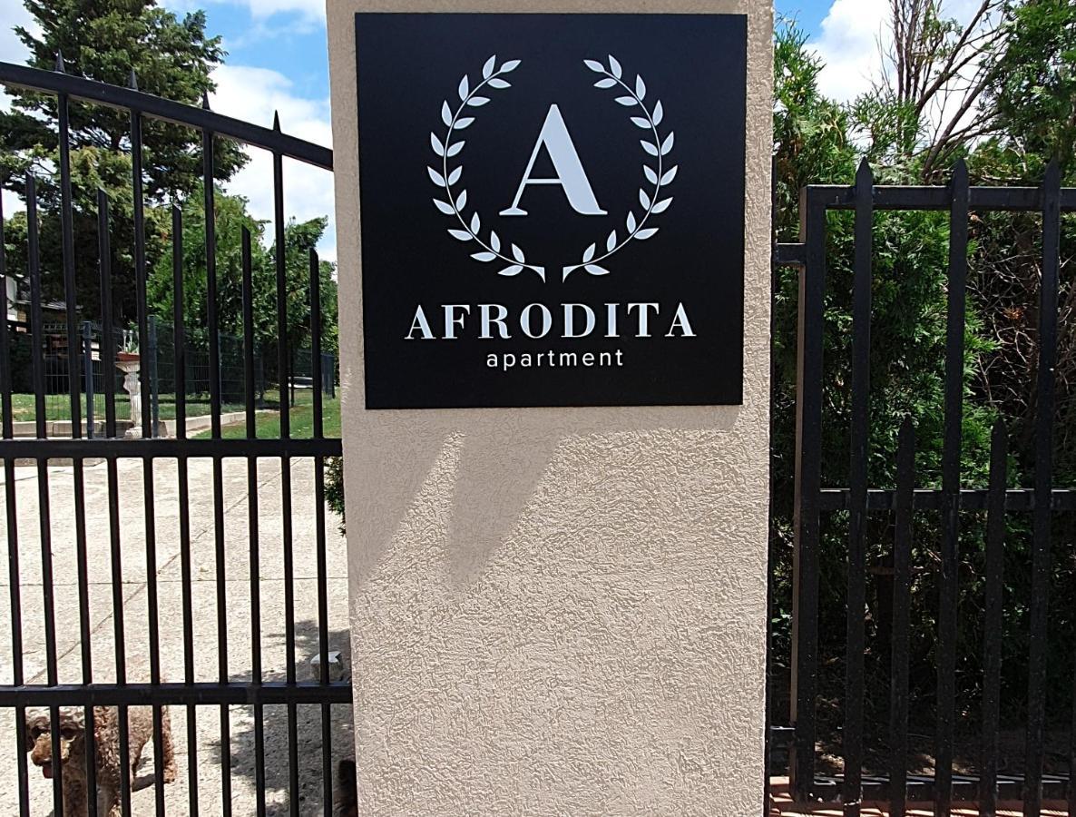 Afrodita Apartment Vrdnik Ngoại thất bức ảnh