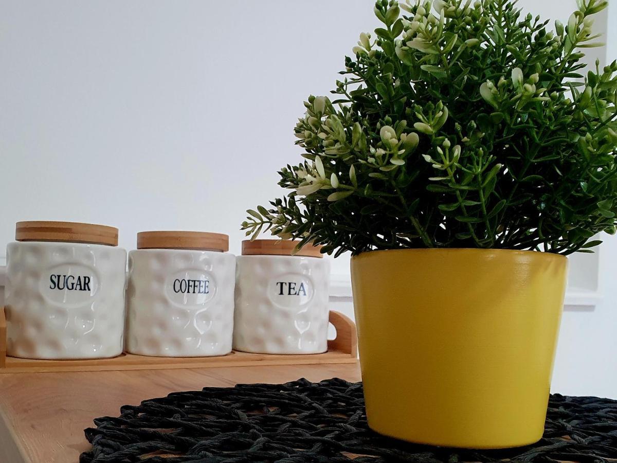 Afrodita Apartment Vrdnik Ngoại thất bức ảnh