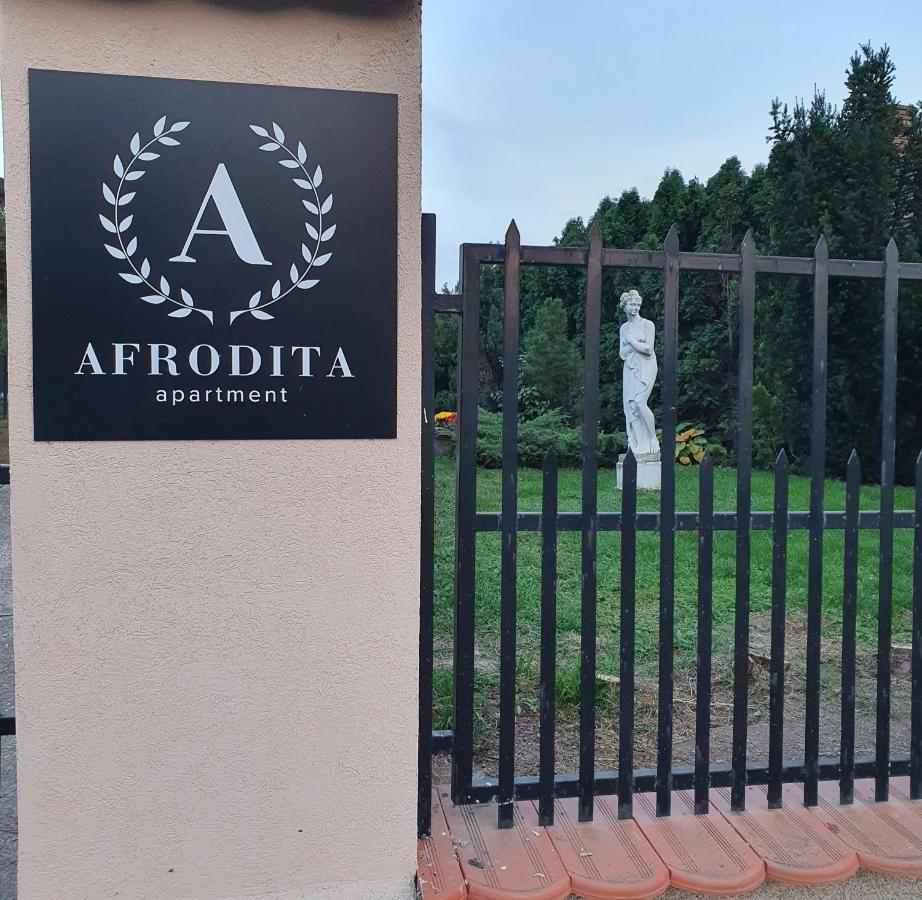 Afrodita Apartment Vrdnik Ngoại thất bức ảnh